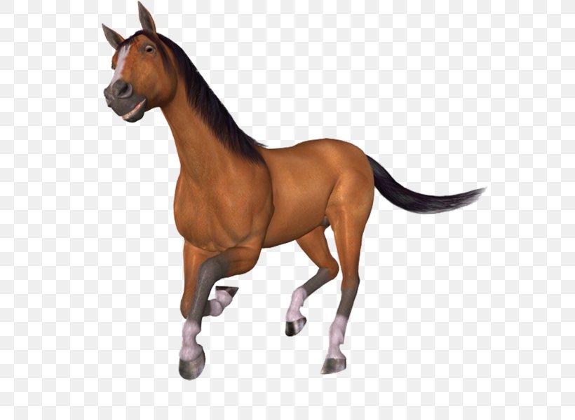 Mustang Pony Stallion Brush, PNG, 587x600px, Mustang, Animal Figure, Bridle, Brush, Drawing Download Free