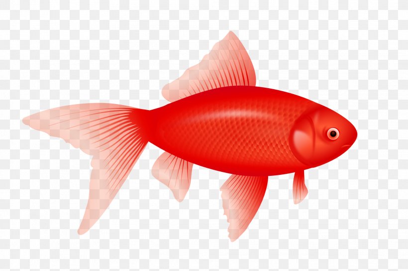 One Fish, Two Fish, Red Fish, Blue Fish Flounder Clip Art, PNG, 1969x1307px, Fish, Bony Fish, Fin, Fishing, Flounder Download Free