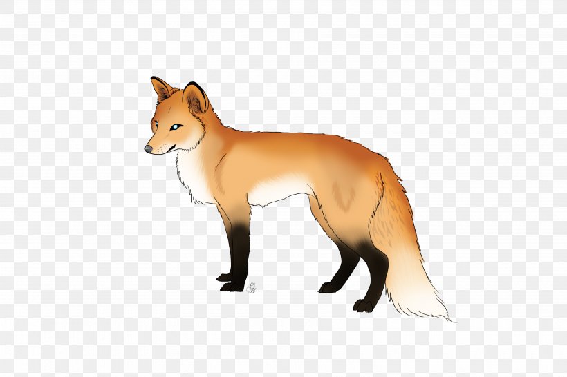 Red Fox Dog Breed Fur Fauna, PNG, 3600x2400px, Red Fox, Breed, Carnivoran, Dog, Dog Breed Download Free