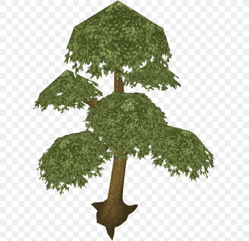 RuneScape English Yew Quest Tree Wiki, PNG, 601x791px, Runescape, Adamant, Branch, Cape, English Yew Download Free