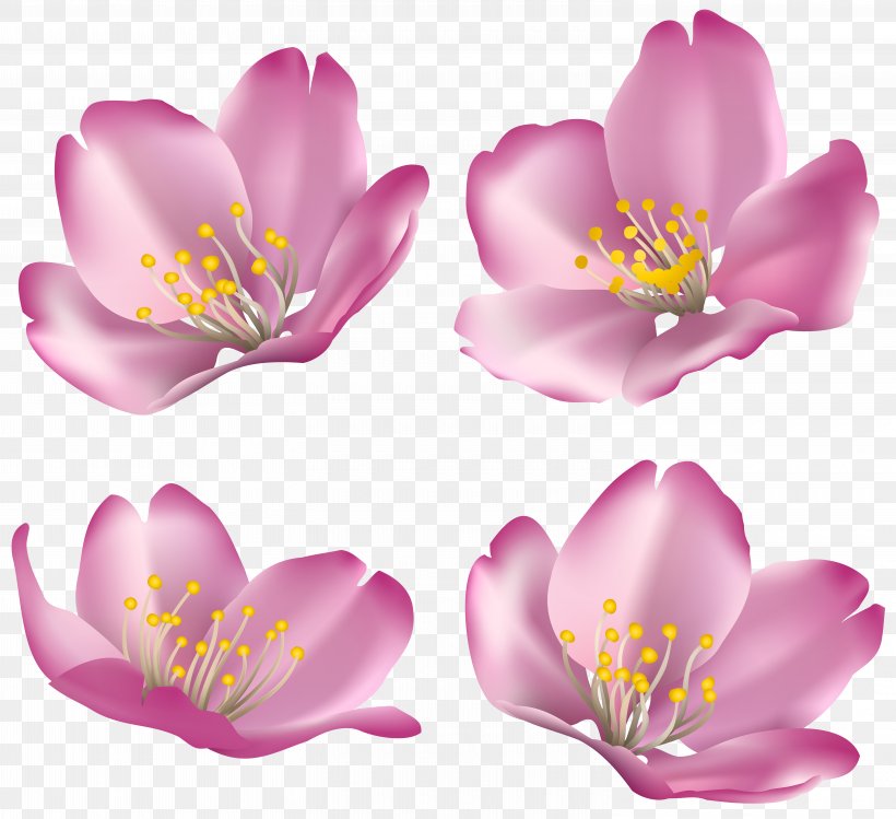 Flower Clip Art, PNG, 6000x5484px, 2017, Flower, Blog, Blogger, Blossom Download Free