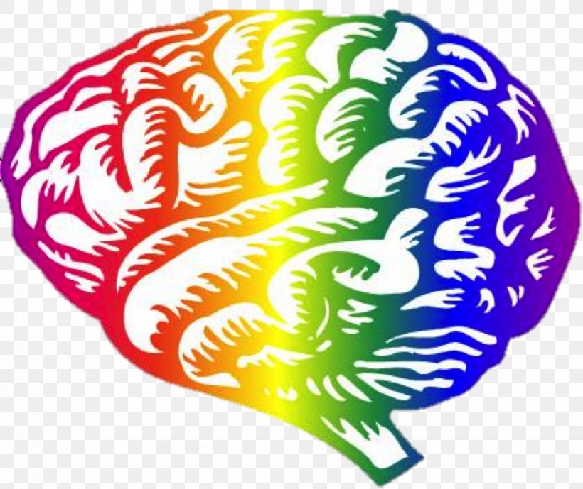 Human Brain Neuroscience Posttraumatic Stress Disorder Neuroimaging, PNG, 875x736px, Brain, Brain Tumor, Human Brain, Medicine, Neurofeedback Download Free