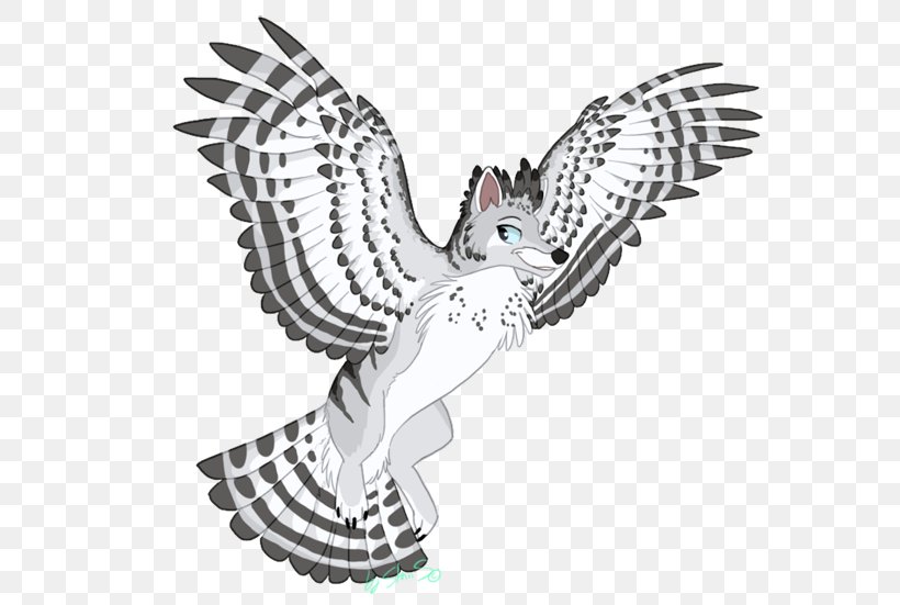 Owl Clip Art Fauna Illustration Beak, PNG, 591x551px, Owl, Beak, Bird, Bird Of Prey, Black And White Download Free
