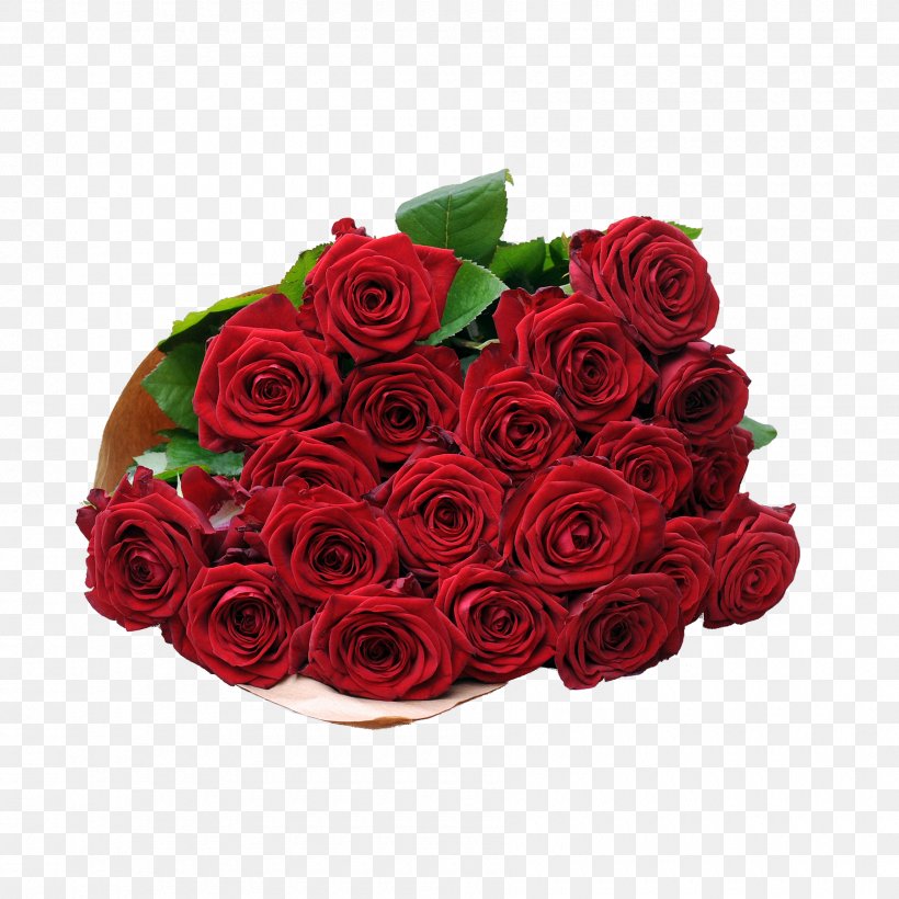 Garden Roses Blume2000.de Red, PNG, 1800x1800px, Garden Roses, Artificial Flower, Blume, Blumenversand, Cut Flowers Download Free