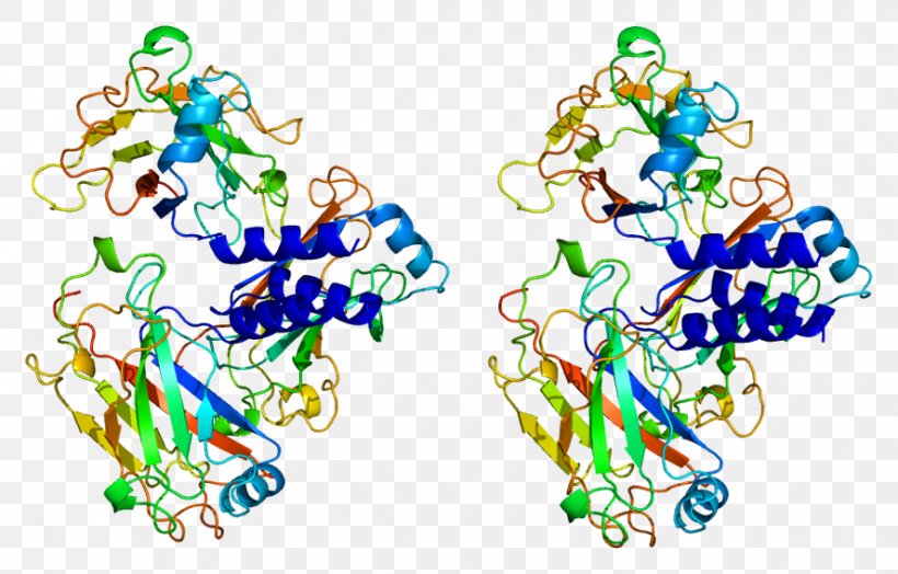 Tissue Plasminogen Activator TRAF2 Plasminogen Activator Inhibitor-2, PNG, 888x568px, Watercolor, Cartoon, Flower, Frame, Heart Download Free