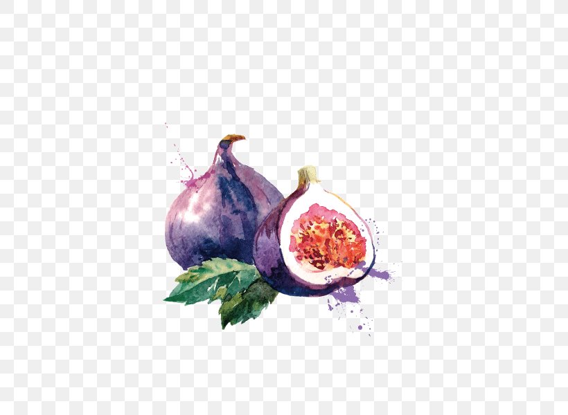 Common Fig Euclidean Vector Royalty-free, PNG, 600x600px, Common Fig, Art, Drawing, Fig Leaf, Food Download Free