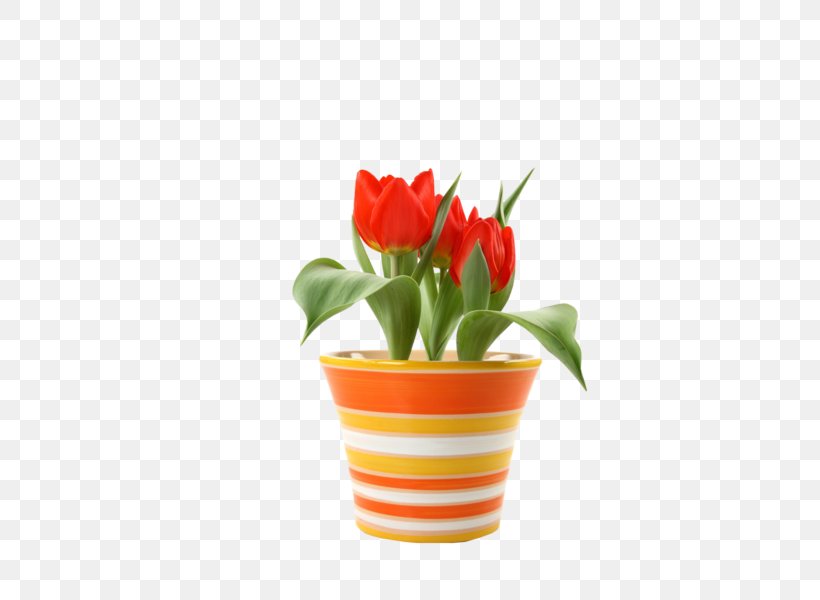 Flowerpot Saucer Plastic Crock Tulip, PNG, 600x600px, Flowerpot, Crock, Cut Flowers, Flower, Flowering Plant Download Free