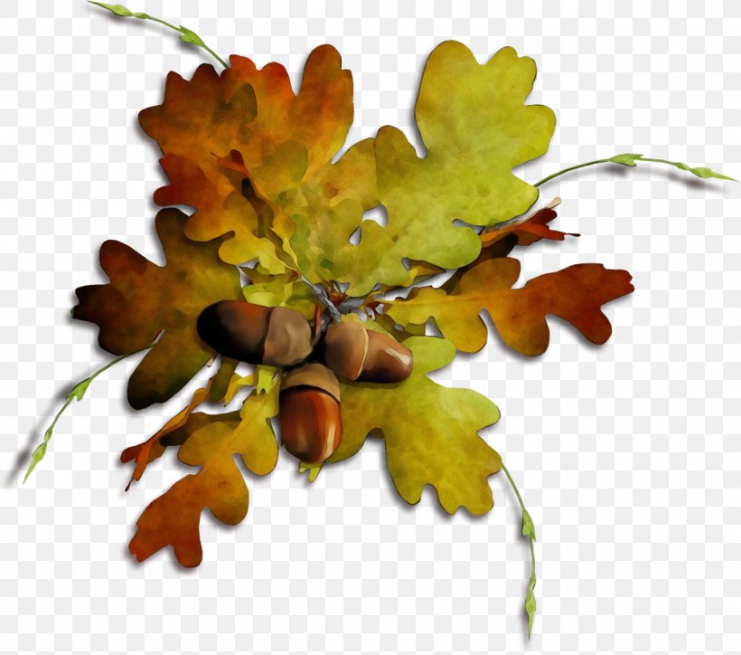 Oak Tree Leaf, PNG, 1280x1131px, Watercolor, Autumn, Branch, Californian White Oak, Flower Download Free