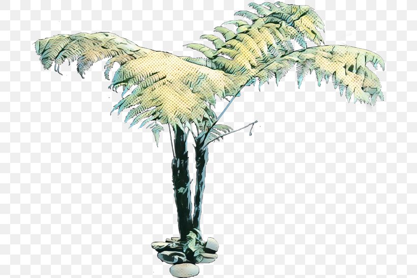 Palm Tree Background, PNG, 700x546px, Cyathea Cooperi, Arecales, Branch, Cyathea, Fan Palms Download Free