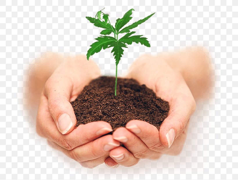 Stock Photography Plant Soil Seedling, PNG, 715x621px, Stock Photography, Hand, Holding Hands, Istock, Plant Download Free