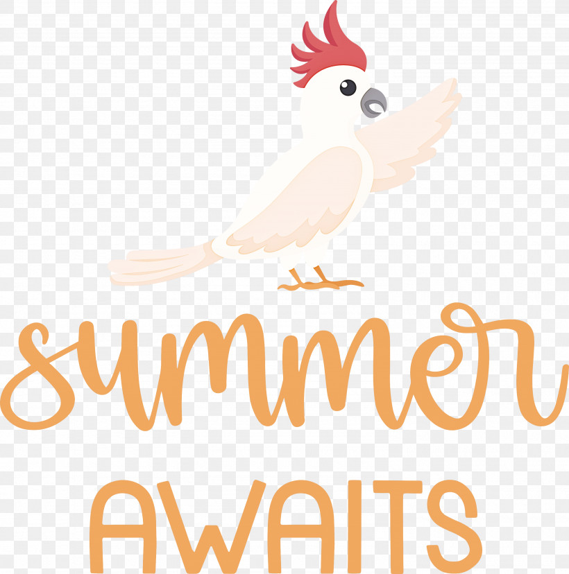 Summer Awaits Summer Summer Vacation, PNG, 2970x3000px, Summer, Beak, Chicken, Landfowl, Line Download Free