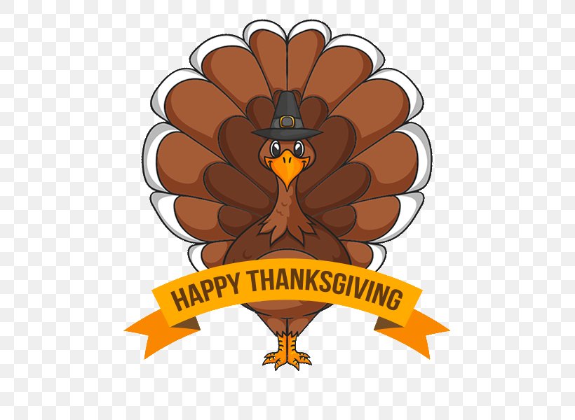 Thanksgiving Turkey Meat Clip Art, PNG, 600x600px, Thanksgiving, Beak, Bird, Bird Of Prey, Brand Download Free