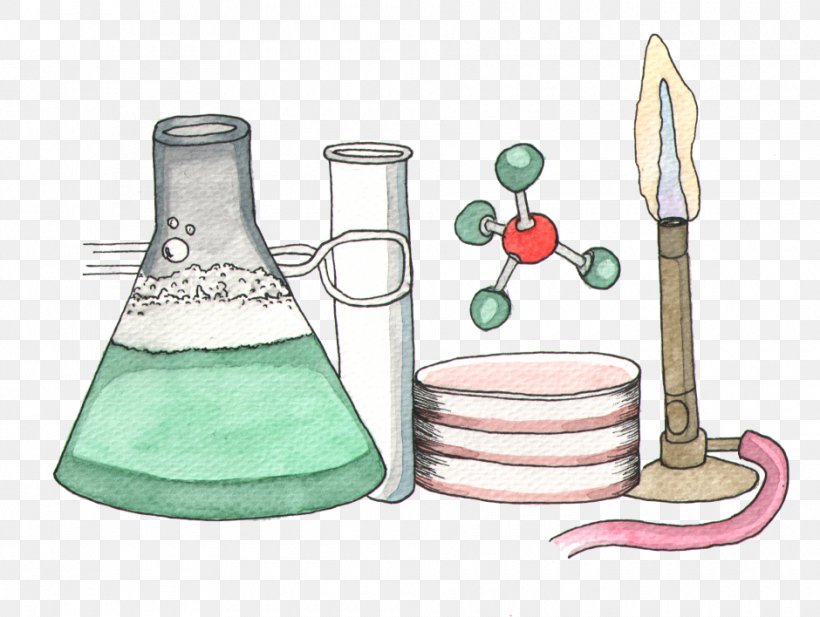 Biology Science Chemistry Physics Experience, PNG, 940x708px, Biology, Chemistry, Course, Drawing, Experience Download Free