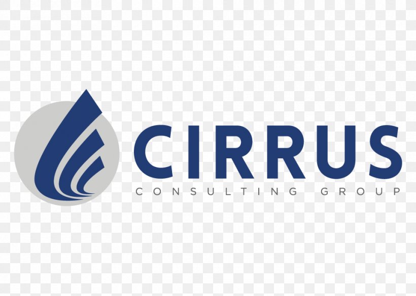 Cirrus Consulting Group Health Care Service Business, PNG, 960x686px, Health Care, Bank, Brand, Business, Cirrus Consulting Group Download Free