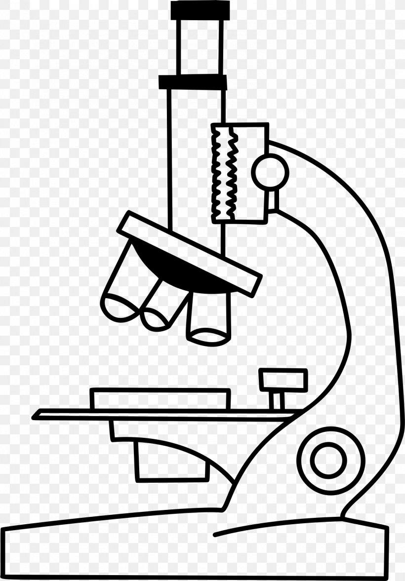 Microscope Black And White Clip Art, PNG, 1582x2272px, Microscope, Art, Black And White, Diagram, Drawing Download Free