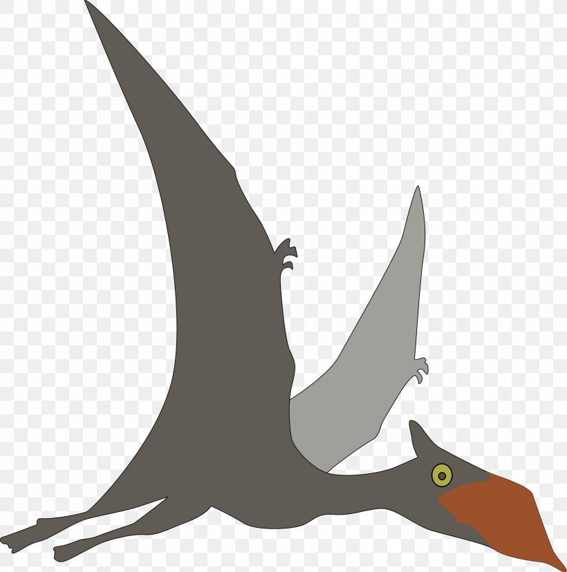 Sinopterus Dinosaur Pterosaurs Clip Art, PNG, 2375x2400px, Sinopterus, Beak, Bird, Dinosaur, Email Download Free