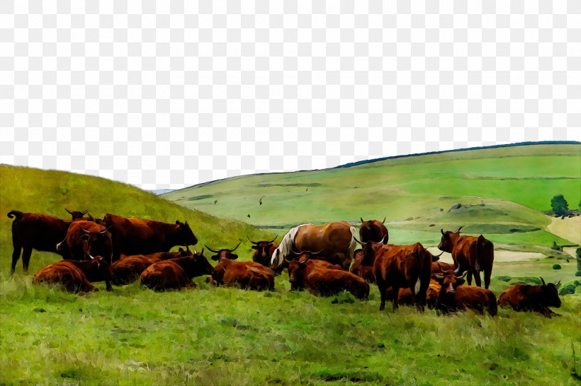 Steppe Grassland Grazing Farm Rural Area, PNG, 1920x1280px, Watercolor, Ecoregion, Farm, Grassland, Grazing Download Free