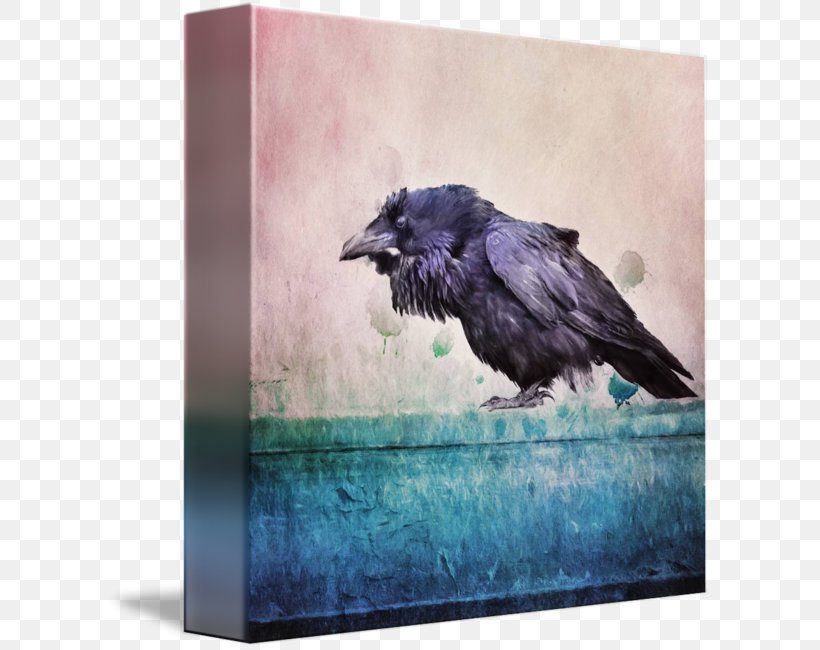 American Crow Rook Common Raven Picture Frames, PNG, 606x650px, American Crow, Beak, Bird, Common Raven, Crow Download Free