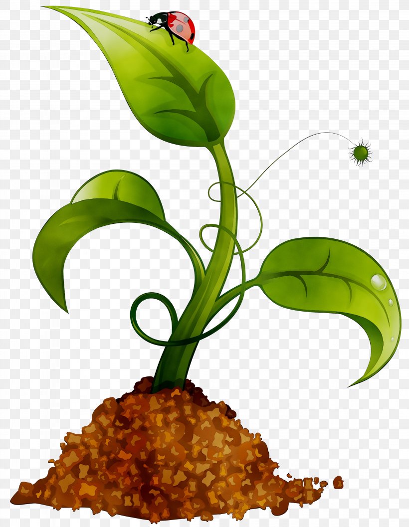 Vector Graphics Illustration Royalty-free Stock Photography, PNG, 4611x5947px, Royaltyfree, Anthurium, Botany, Flower, Flowering Plant Download Free
