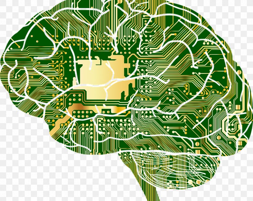 Artificial Neural Network Computer Network Anatomy Brain, PNG, 847x675px, Watercolor, Cartoon, Flower, Frame, Heart Download Free