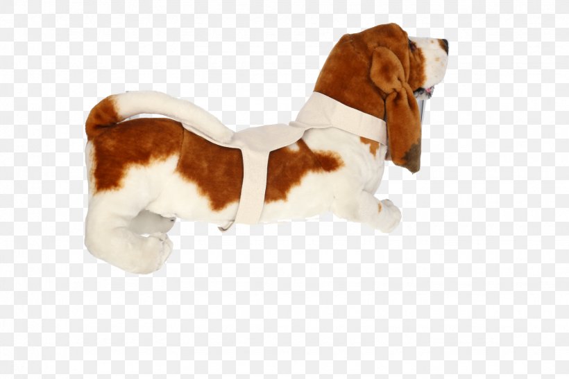 Basset Hound Beagle Puppy Dog Breed Companion Dog, PNG, 1535x1024px, Basset Hound, Beagle, Breed, Carnivoran, Companion Dog Download Free