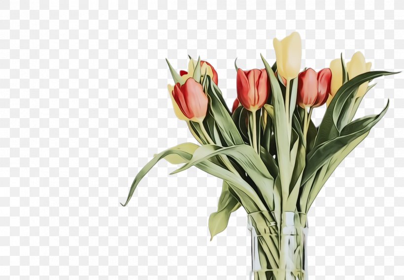 Lily Flower Cartoon, PNG, 2400x1668px, Tulip, Anthurium, Artificial Flower, Blossom, Bouquet Download Free