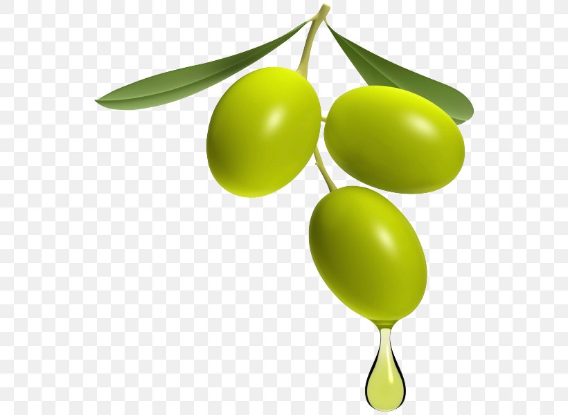 Olive Oil Greek Cuisine Tapenade, PNG, 575x600px, Olive Oil, Arbosana, Food, Fruit, Greek Cuisine Download Free