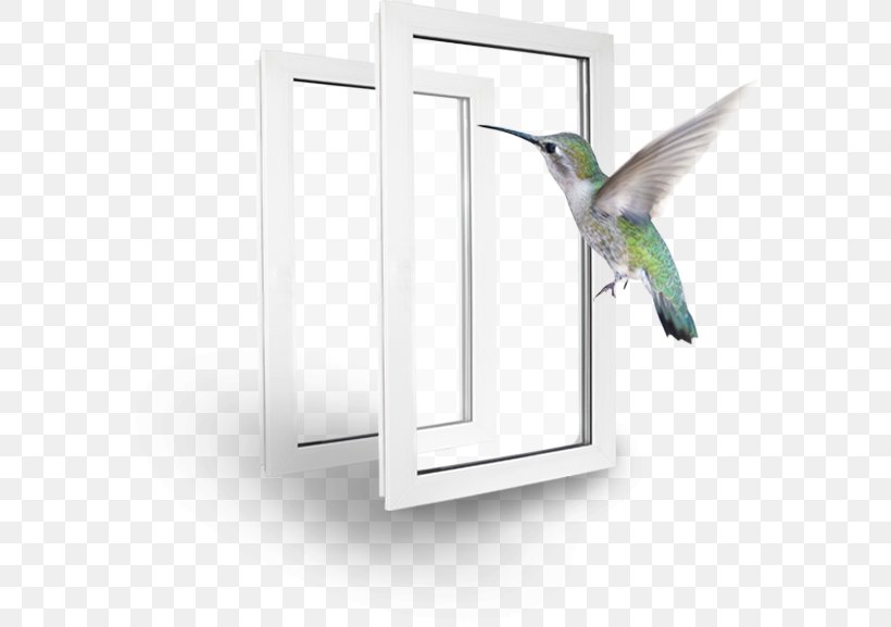 Window, PNG, 578x577px, Window, Bird, Wing Download Free