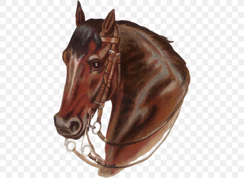 Horse Prairie: The Legend Of Charles Burton Irwin.. Prairie: The Legend Of Charles Burton Irwin And The Y6 Ranch Cross Stitch Patterns Cross-stitch, PNG, 460x600px, Horse, Bit, Bridle, Cross Stitch Patterns, Crossstitch Download Free
