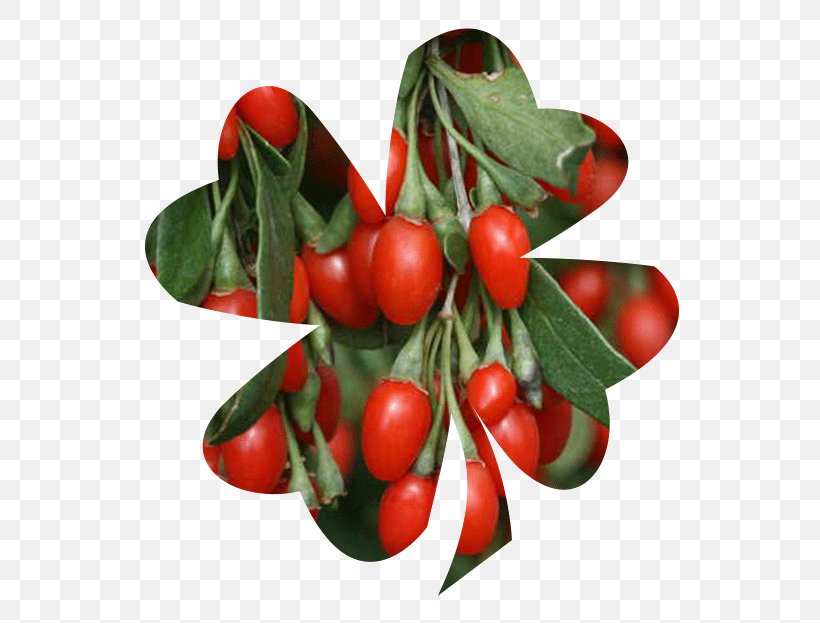 Lingonberry Goji Plant Fruit Lycium Chinense, PNG, 600x623px, Lingonberry, Actinidia, Actinidia Deliciosa, Aquifoliaceae, Aquifoliales Download Free