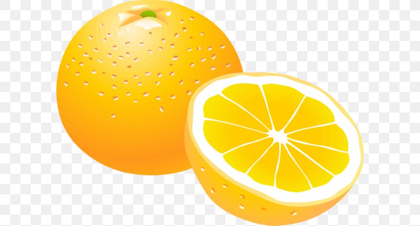 Orange Clip Art, PNG, 600x442px, Orange, Citric Acid, Citron, Citrus, Diet Food Download Free