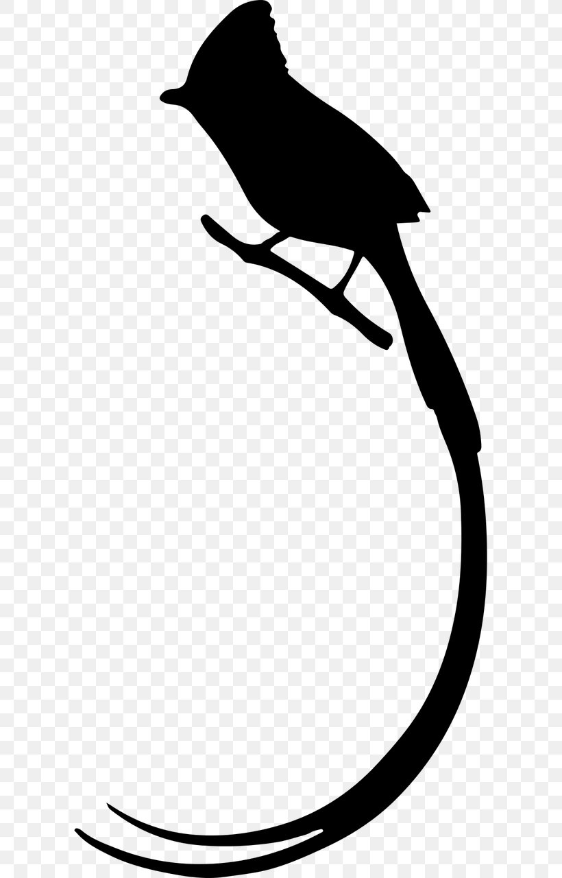Bird Penguin Silhouette Tail Clip Art, PNG, 640x1280px, Bird, Artwork, Beak, Black, Black And White Download Free