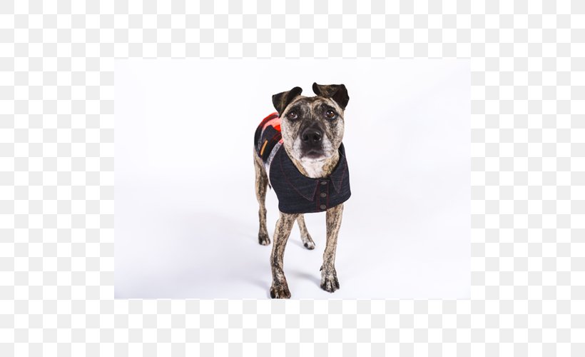 Dog Breed Jacket Polar Fleece Clothing, PNG, 500x500px, Dog Breed, Clothing, Collar, Dog, Dog Clothes Download Free