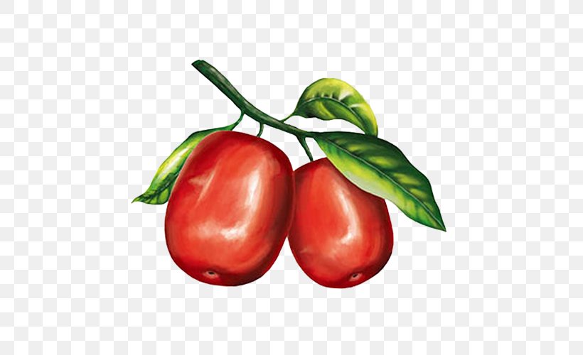 Jujube Cartoon Watercolor Painting, PNG, 500x500px, Jujube, Accessory Fruit, Acerola, Acerola Family, Apple Download Free