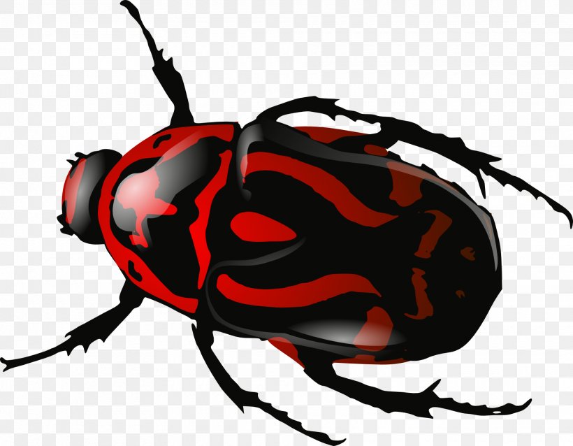 Beetle Download Clip Art, PNG, 1920x1496px, Beetle, Arthropod, Artwork, Fly, Insect Download Free