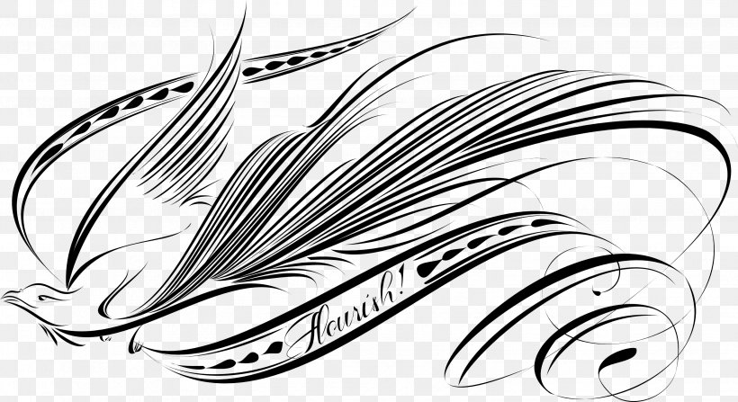 Bird Drawing Calligraphy, PNG, 3088x1684px, Bird, Art, Artwork, Black And White, Body Jewelry Download Free