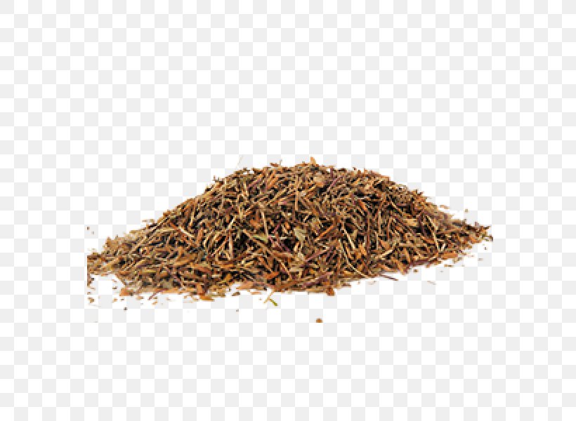 Spice Euphrasia Rostkoviana Herbaceous Plant Medicinal Plants, PNG, 600x600px, Spice, Assam Tea, Bancha, Ceylon Tea, Conjunctivitis Download Free