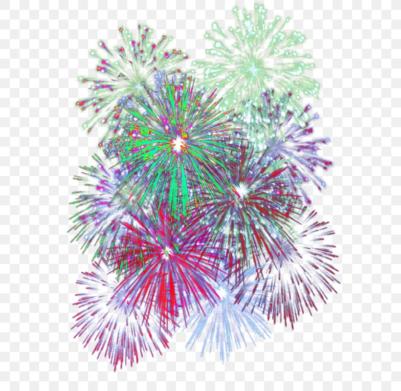 Adobe Fireworks Download, PNG, 600x800px, Fireworks, Adobe Fireworks, Christmas Decoration, Christmas Ornament, Color Download Free
