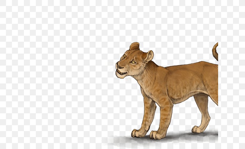 Big Cat Terrestrial Animal Puma Wildlife, PNG, 640x500px, Cat, Animal, Big Cat, Big Cats, Carnivoran Download Free