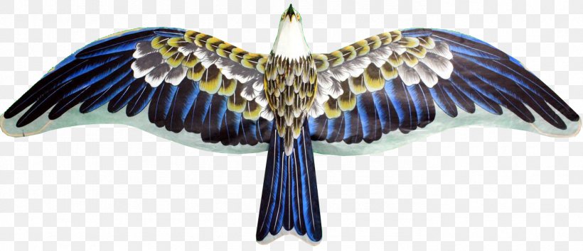 Flight Eagle Hawk, PNG, 1386x600px, Flight, Beak, Bird, Bird Of Prey, Eagle Download Free