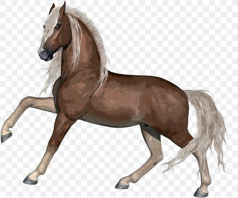 Horse Animal Figure Mane Stallion Mare, PNG, 1263x1051px, Horse, Animal Figure, Liver, Mane, Mare Download Free