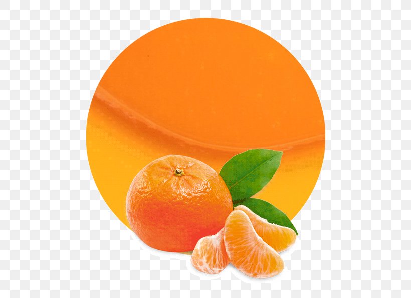 Juice Mandarin Orange Learning Fruits, PNG, 536x595px, Juice, Citric Acid, Citrus, Clementine, Food Download Free