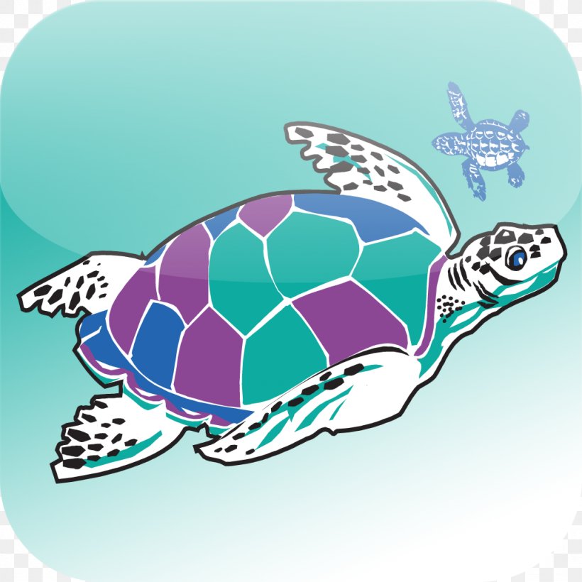 Loggerhead Sea Turtle Sea Turtle Getaways Sea Turtle, Inc., PNG, 1024x1024px, Loggerhead Sea Turtle, Aqua, Everglades, Fish, Hilton Head Island Download Free