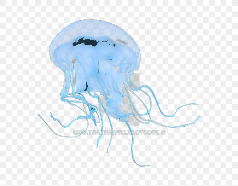 Marine Invertebrates Jellyfish Cnidaria Drawing Sketch, PNG, 900x705px, Pop Art, Cnidaria, Drawing, Jellyfish, Marine Invertebrates Download Free