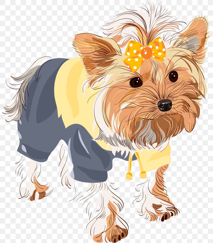 Yorkshire Terrier Shih Tzu Puppy Dog Breed, PNG, 803x935px, Yorkshire Terrier, Carnivoran, Companion Dog, Dog, Dog Breed Download Free