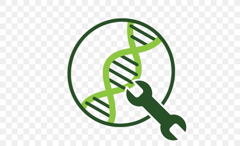 Algae Fuel Genetic Engineering Information, PNG, 500x500px, Algae Fuel, Algae, Area, Biofuel, Biology Download Free