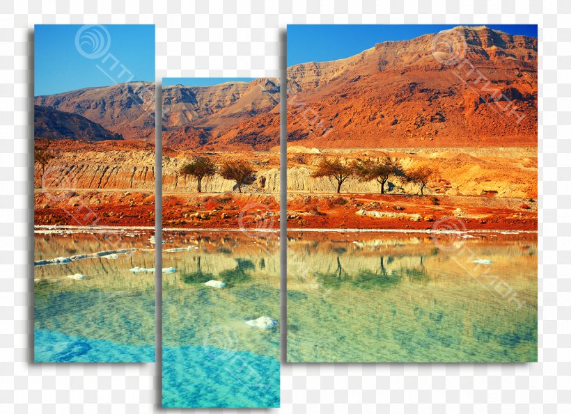 Dead Sea Ein Bokek Masada Eilat Tour Guide, PNG, 1200x871px, Dead Sea, Dead Sea Salt, Ecoregion, Ecosystem, Eilat Download Free
