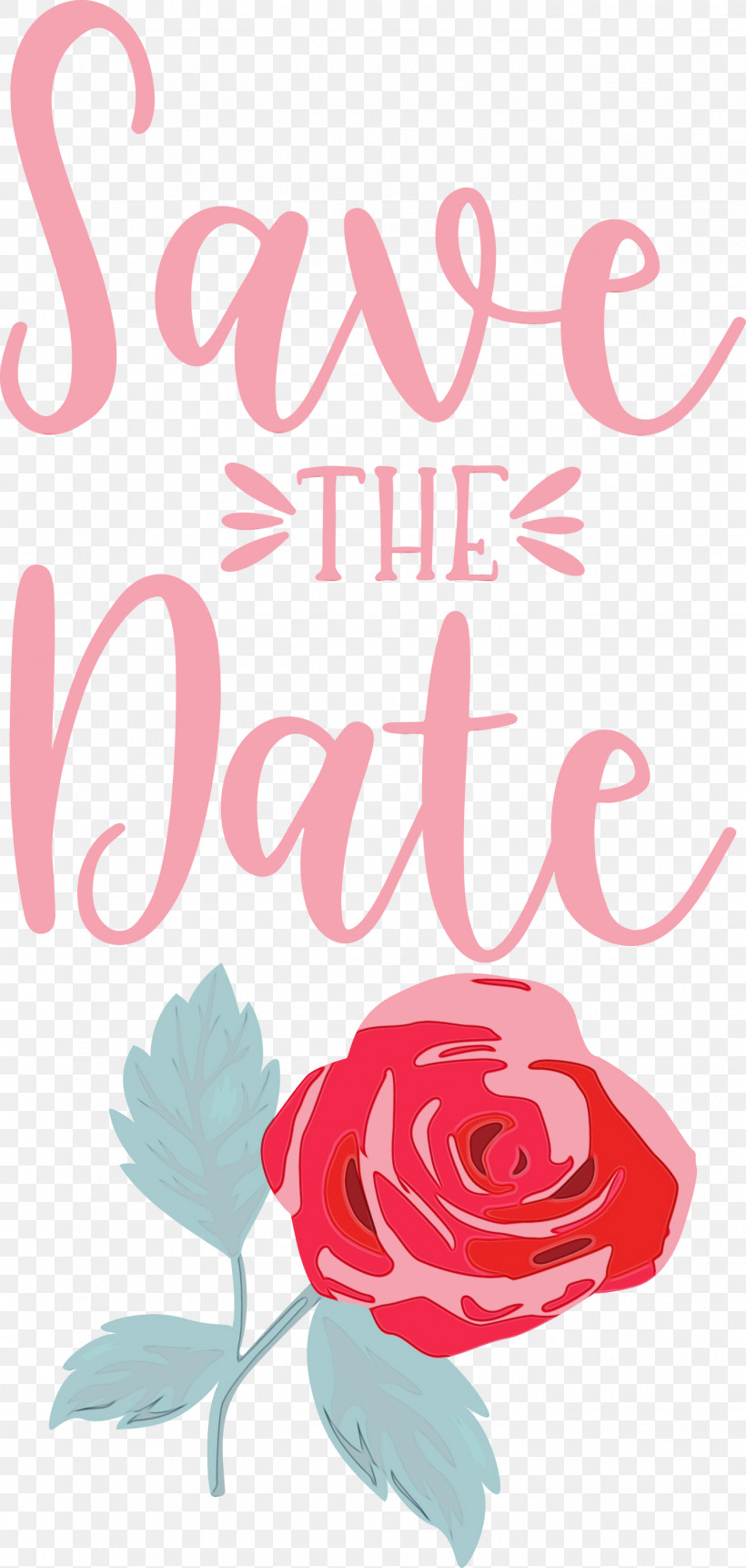 Floral Design, PNG, 1428x3000px, Save The Date, Cut Flowers, Floral Design, Flower, Garden Download Free