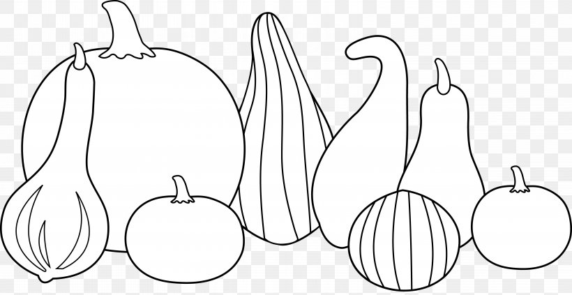 Gourd Pumpkin Cucurbita Vegetable Clip Art, PNG, 6473x3343px, Watercolor, Cartoon, Flower, Frame, Heart Download Free