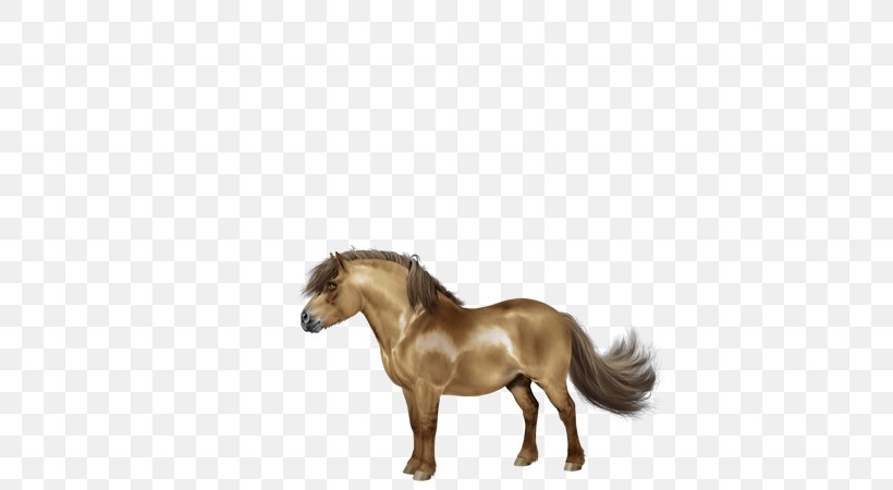 Mane Mustang Stallion Pony Mare, PNG, 600x450px, Mane, Animal Figure, Halter, Horse, Horse Like Mammal Download Free